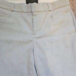 Banana Republic Sloan Curvy Fit White Slate Striped Womens Size 2 Pants Preppy